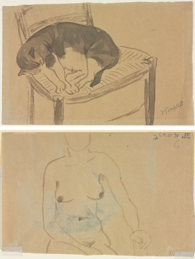 Sovende kat (recto) Torso af en nøgen kvinde (verso) af Jane Poupelet