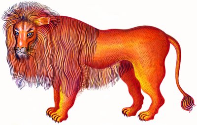 Løven Leo, 1996, (blæk og gouache) af Jane Tattersfield