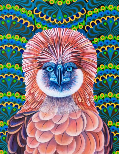 Philippine Eagle, 2020 af Jane Tattersfield