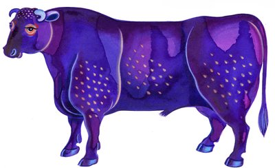 Tyren Taurus, 1996, (blæk og gouache) af Jane Tattersfield