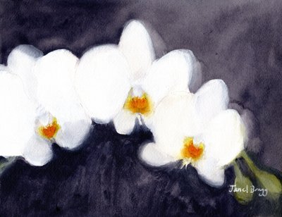 Orchid White Phalaenopsis, ca. 2021 (akvarel og kasein på papir) af Janel Bragg