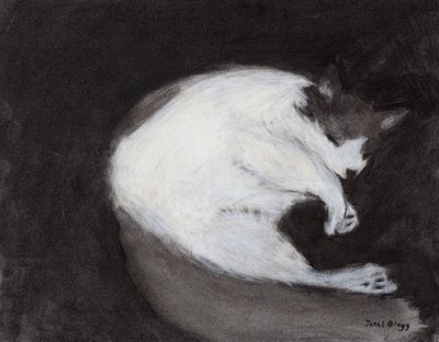 Thomas Taking a Nap, ca. 2018 (kul og pastel på papir) af Janel Bragg