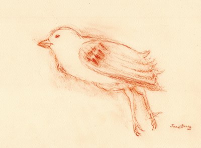 Vulerability and Death in Summer (Dead Bird by my Stairwell III) c.2021 (pastel på papir) af Janel Bragg
