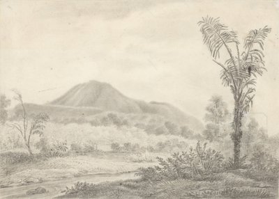 Javanesisk landskab med bjerg og palme af Jannes Theodorus Bik