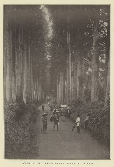 Avenue of Cryptomeria fyrretræer ved Nikko af Japanese Photographer