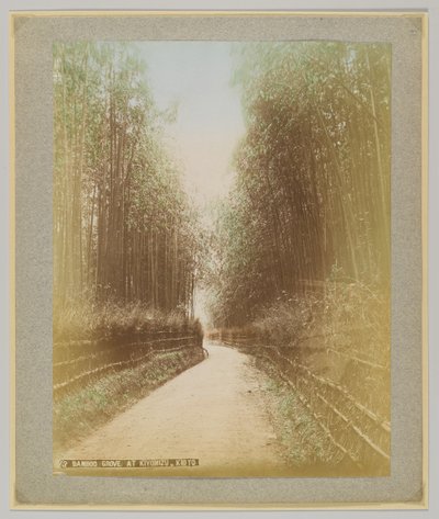 Bamboo Grove i Kiyomizu, Kyoto, Japan (håndfarvet sort/hvid foto) af Japanese Photographer