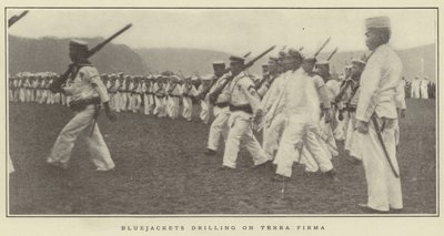 Bluejackets borer på Terra Firma af Japanese Photographer