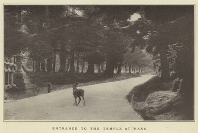 Indgang til templet ved Nara af Japanese Photographer