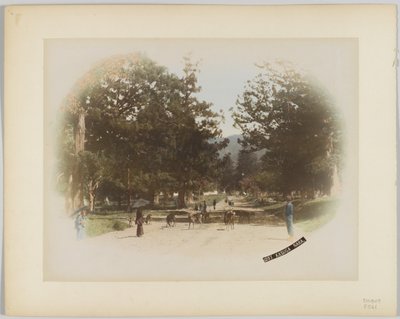 Kasuga, Nara, Japan (håndfarvet sort/hvid foto) af Japanese Photographer