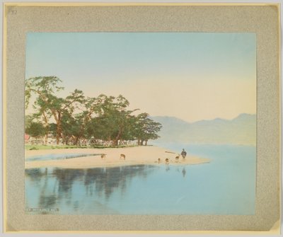 Miyajima, Japan (håndfarvet sort/hvid foto) af Japanese Photographer
