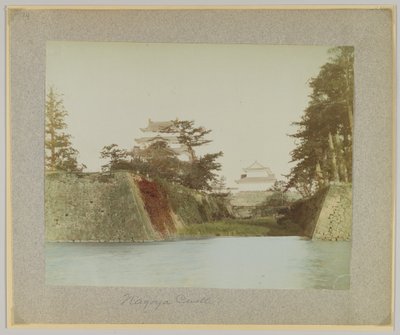 Nagoya Castle, Japan (håndfarvet sort/hvid foto) af Japanese Photographer