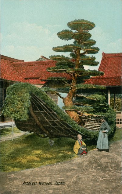  af Japanese Photographer