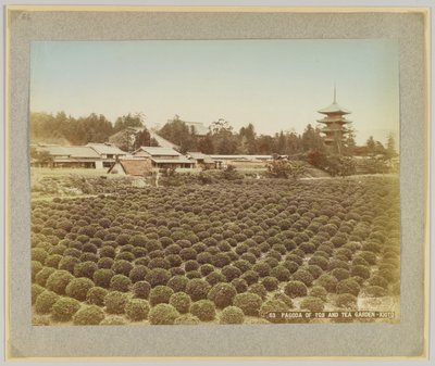 Pagoda of Toji and Tea Garden, Kyoto, Japan (håndfarvet sort/hvid foto) af Japanese Photographer