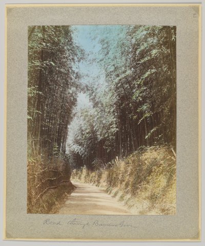 Vej gennem en bambuslund, Japan (håndfarvet sort/hvid foto) af Japanese Photographer