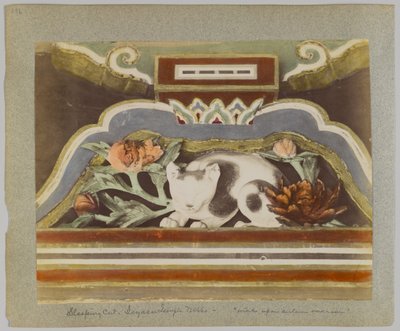 Sovende kat, detalje fra Tōshō-gū, Nikko, Japan (håndfarvet sort/hvid foto) af Japanese Photographer