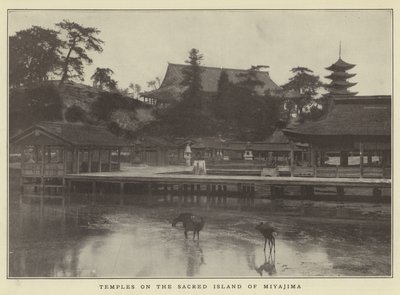 Templer på den hellige ø Miyajima af Japanese Photographer
