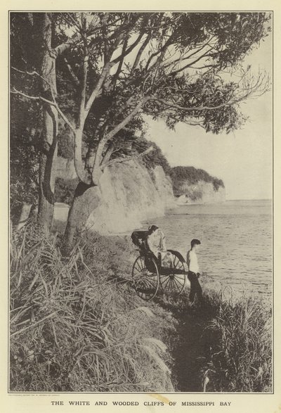 De hvide og skovklædte klipper i Mississippi Bay af Japanese Photographer