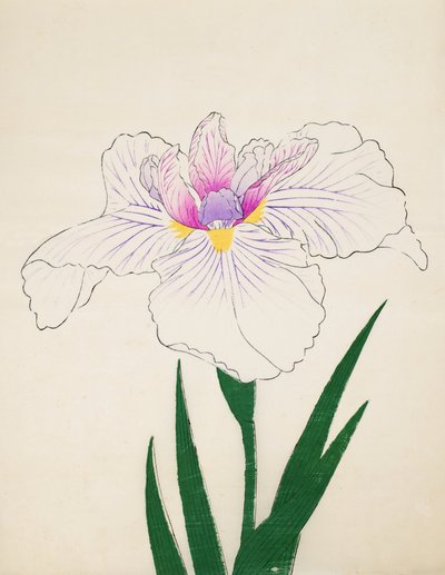 Det er afsløret. - Ul, af. 10, 1898 af Japanese School