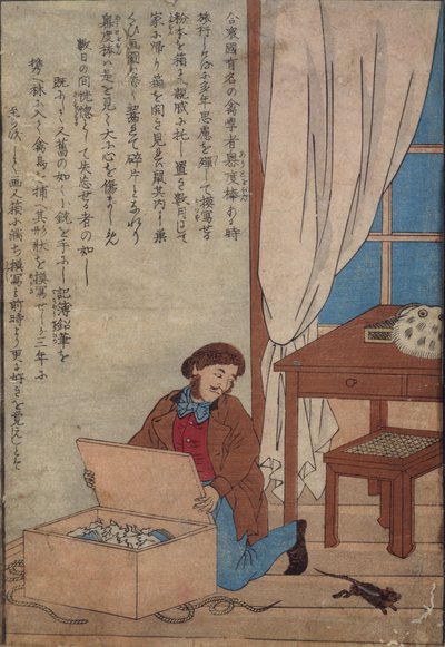 Audubon åbner sin æske med akvareller ødelagt af norske rotter, ca. 1872-77 af Japanese School