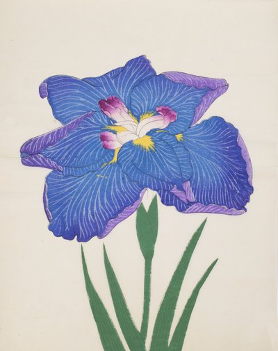 Azumabotan, nr. 89, 1890 (træblok i farver) af Japanese School