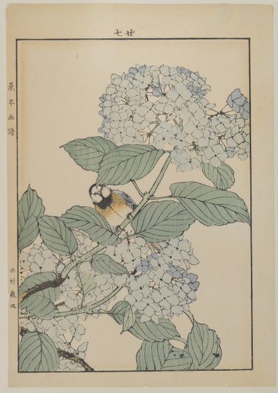 Fugl med hortensia, Meiji-perioden, ca. 1868-1912 (farve-træsnit) af Japanese School