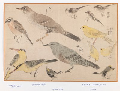 Fugle i Okyo-stil (træblok farveprint) af Japanese School