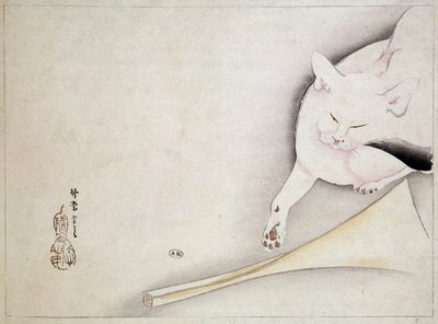 Kat, japansk tegning, n.d. 19. århundrede. af Japanese School
