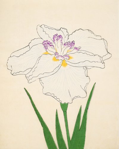 Cho-Hiyen, nr. 91, 1890 (træbloktryk i farver) af Japanese School
