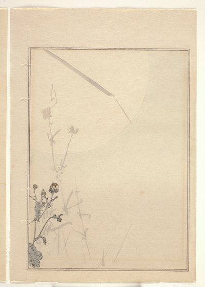 Krysantemum (træblok i farver) (se også 374402) af Japanese School