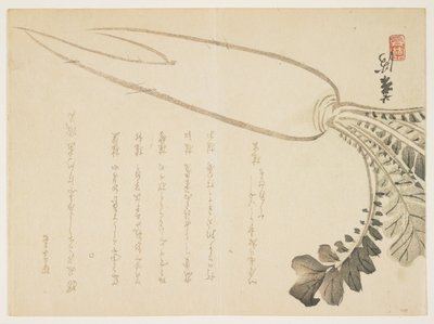 Daikon radise, januar 1864 (træbloktryk i farver) af Japanese School
