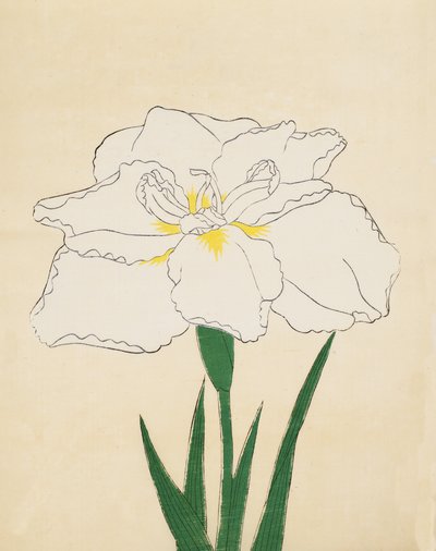 Haku-O-Den, nr. 40, 1890 (træblok i farver) af Japanese School