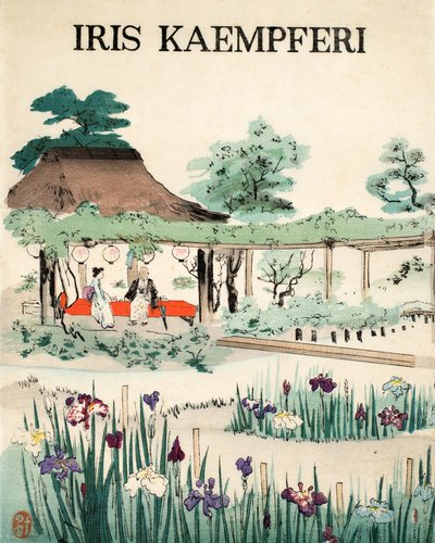 Iris Kaempferi - Forside, 1890 af Japanese School