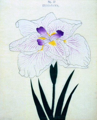 På Izumi-siden. 37, 1898 af Japanese School