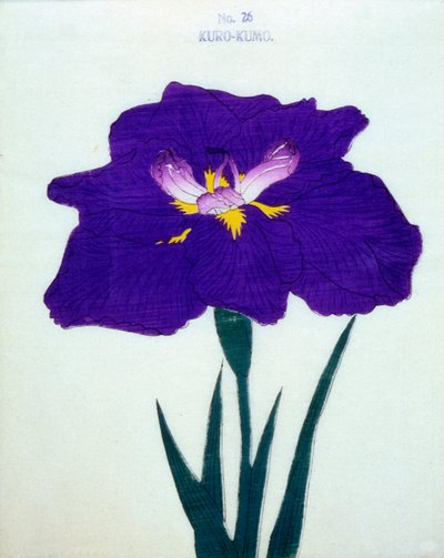 Kappe også. 26, 1898 af Japanese School
