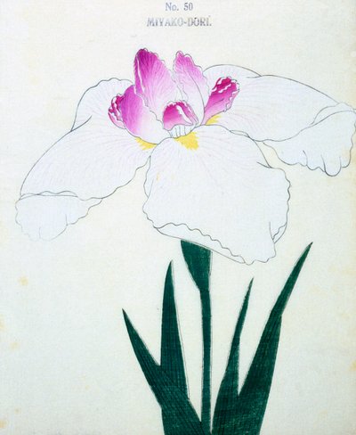 Hvad er hovedstaden? 50, 1898 af Japanese School