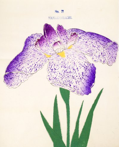 Af Syv Komachi. 21, 1898 af Japanese School