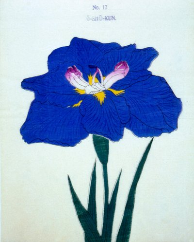 Osho-kun. 12, 1898 af Japanese School
