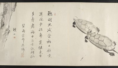 Eller. 14872, f.36, To skildpadder, fra Yoshida Seisai (håndscroll) af Japanese School