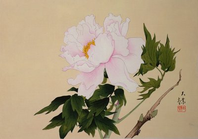 Peony, pub. 1950 af Japanese School