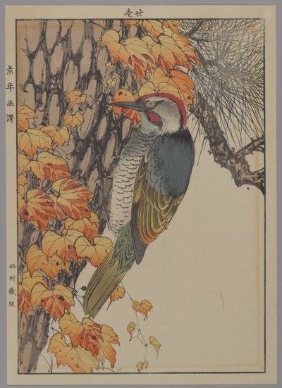 Spætte, 1892 (træbloktryk i farver) af Japanese School