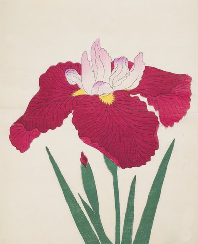 Yamamatayama, nr. 83, 1890 (træbloktryk i farver) af Japanese School