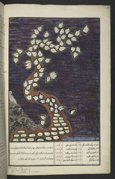 Eller. 15932, f. 72r, Slægtskort i form af et træ af Javas herskere, fra Adam til Pakuwana IV (af Surakarta) og Mataram IV (Hamengkubuwana IV af Yogykarta), i et javanesisk manuskript, Papakem Pawukon af Javanese School