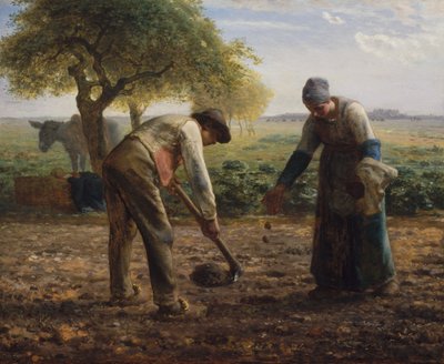 Kartoffelbeholdere af Jean-Francois Millet