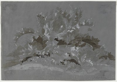 Studie af ukrudt, 1800-1850. af Jean Antoine Linck