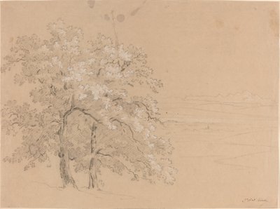 Solbeskinnede træer før et panoramalandskab af Jean Antoine Linck
