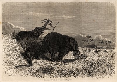 Dahomyan-mazonernes jagt på elefanter af Jean Antoine Valentin Foulquier