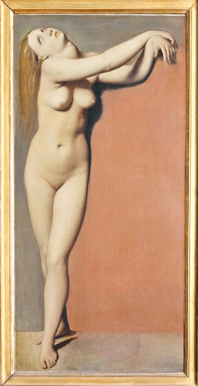 Angelique ... af Jean Auguste Dominique Ingres