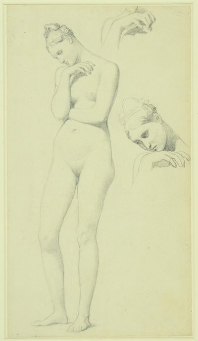 Studier til figuren Stratonice, ca. 1834-40 (blyant på papir) af Jean Auguste Dominique Ingres