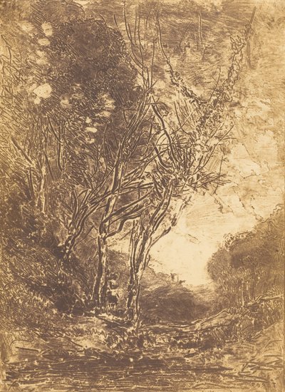 Baghold The Ambush, 1858. af Jean Baptiste Camille Corot