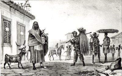 Hus til leje, hest og ged til salg, fra "Voyage Pittoresque et Historique au Bresil", af Jean Baptiste Debret